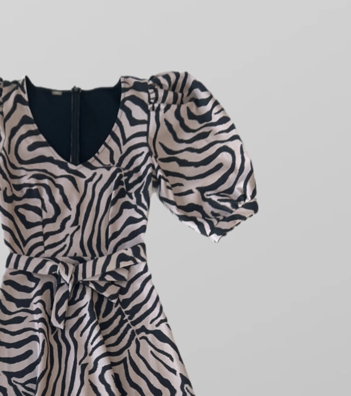 ״גמלא״ שמלת מידי אלגנטית בהדפס זברה מידה S – תמונה 2